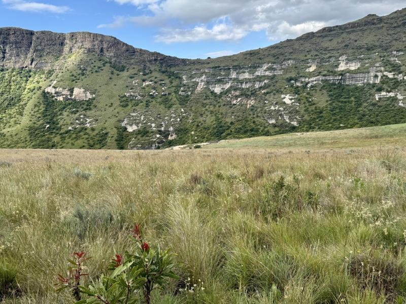 0 Bedroom Property for Sale in Fouriesburg Free State